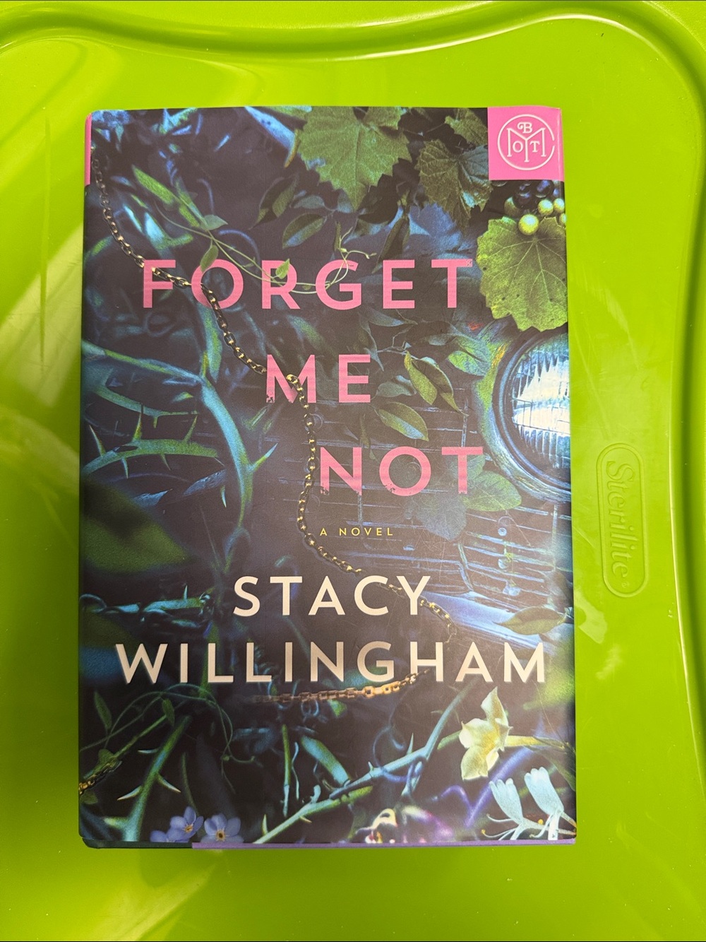 Forget me not by Stacy Willingham